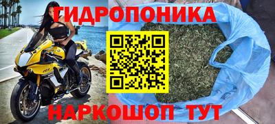 прущие крисы Краснознаменск